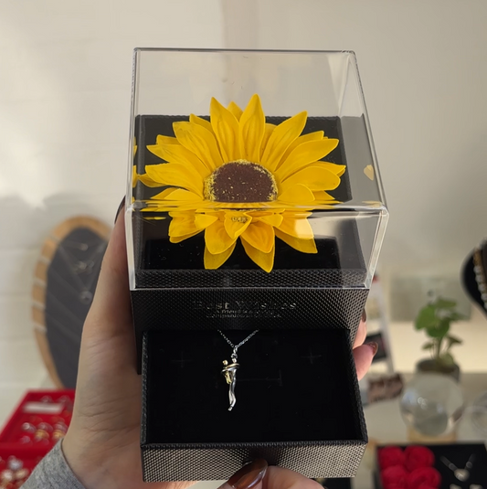 Combos de Plata con Cajas