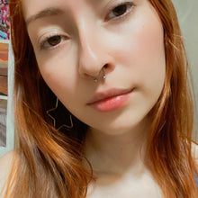 Cargar imagen en el visor de la galería, Septum Falso
